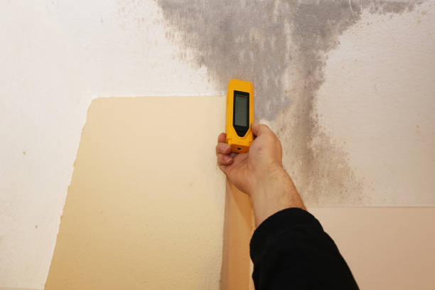 Best Commercial Mold Inspection  in Columbus, KS